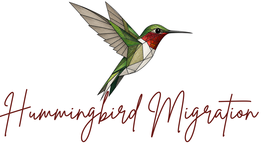 The Secret Journey of Hummingbird Migration