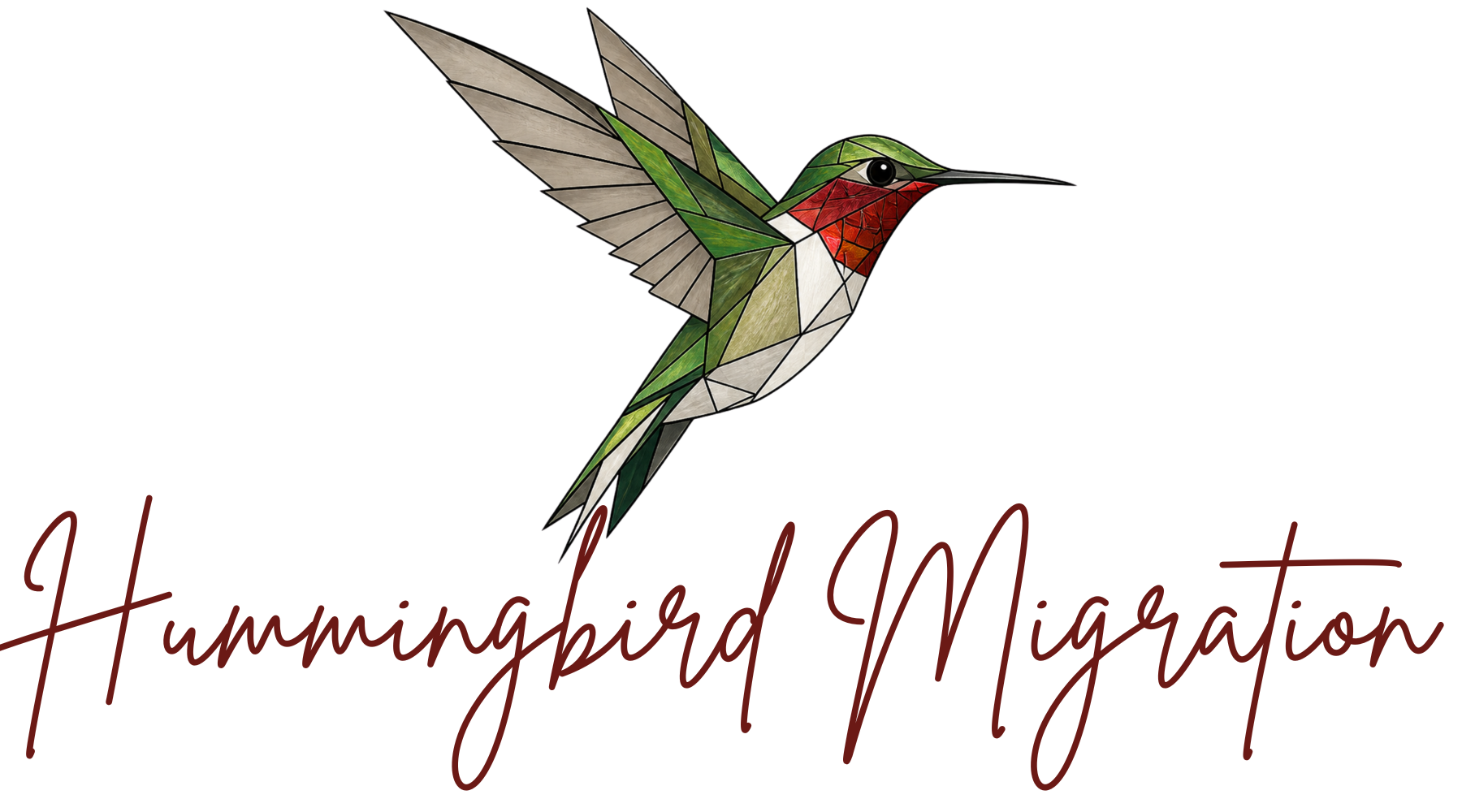 The Secret Journey of Hummingbird Migration