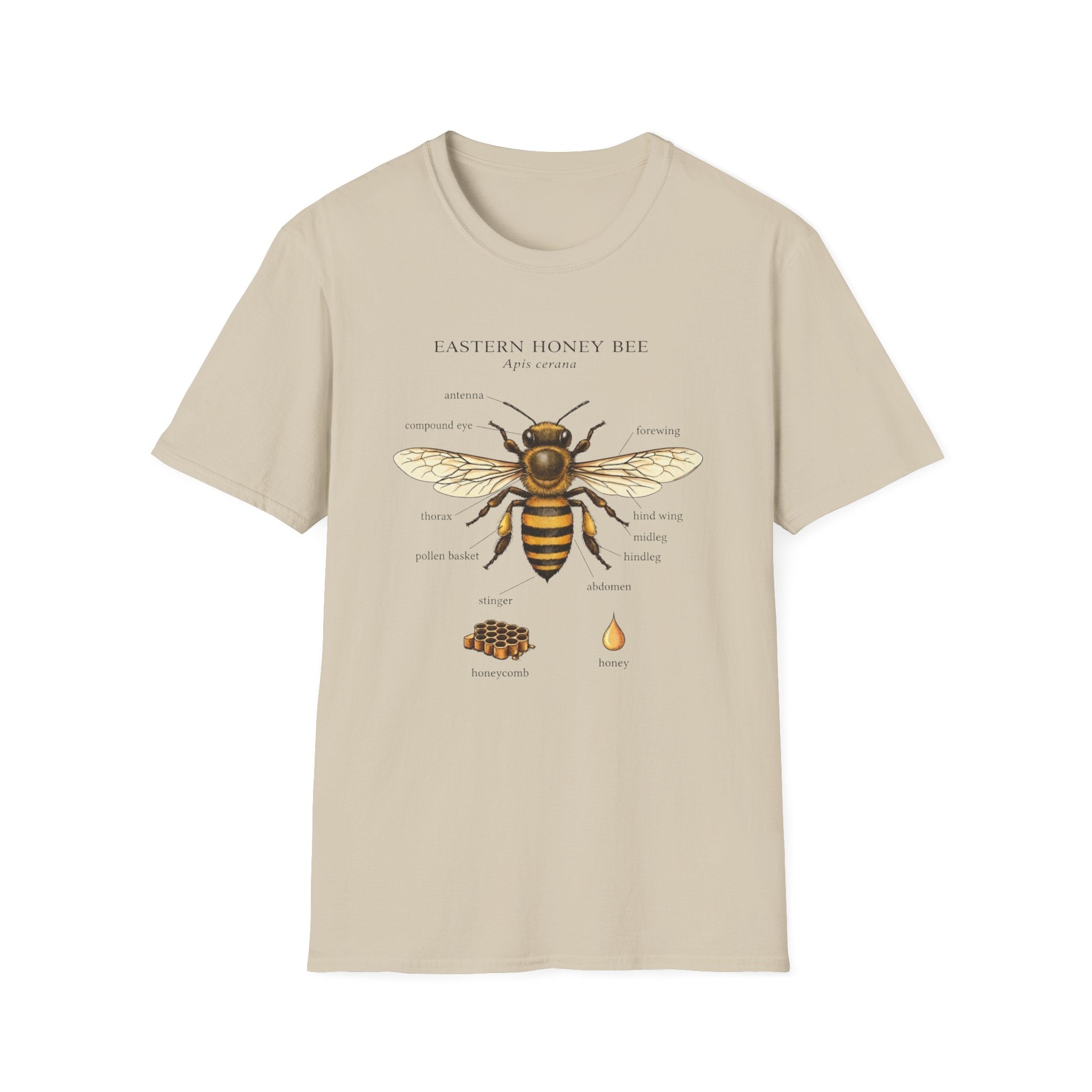 Eastern Honey Bee T-Shirt