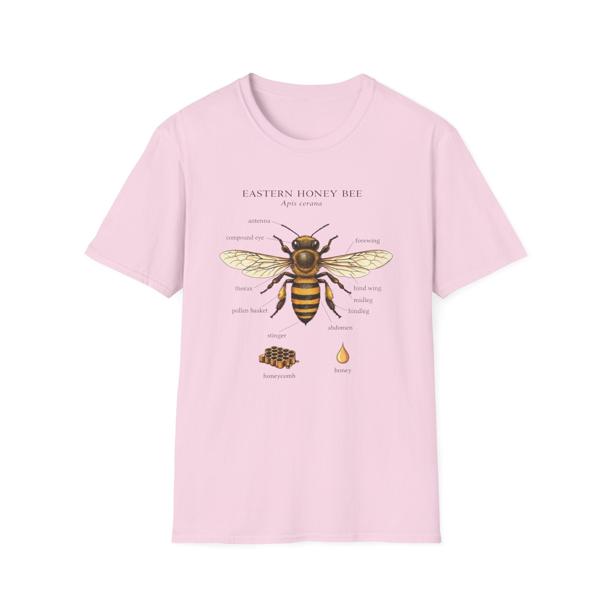 Eastern Honey Bee T-Shirt