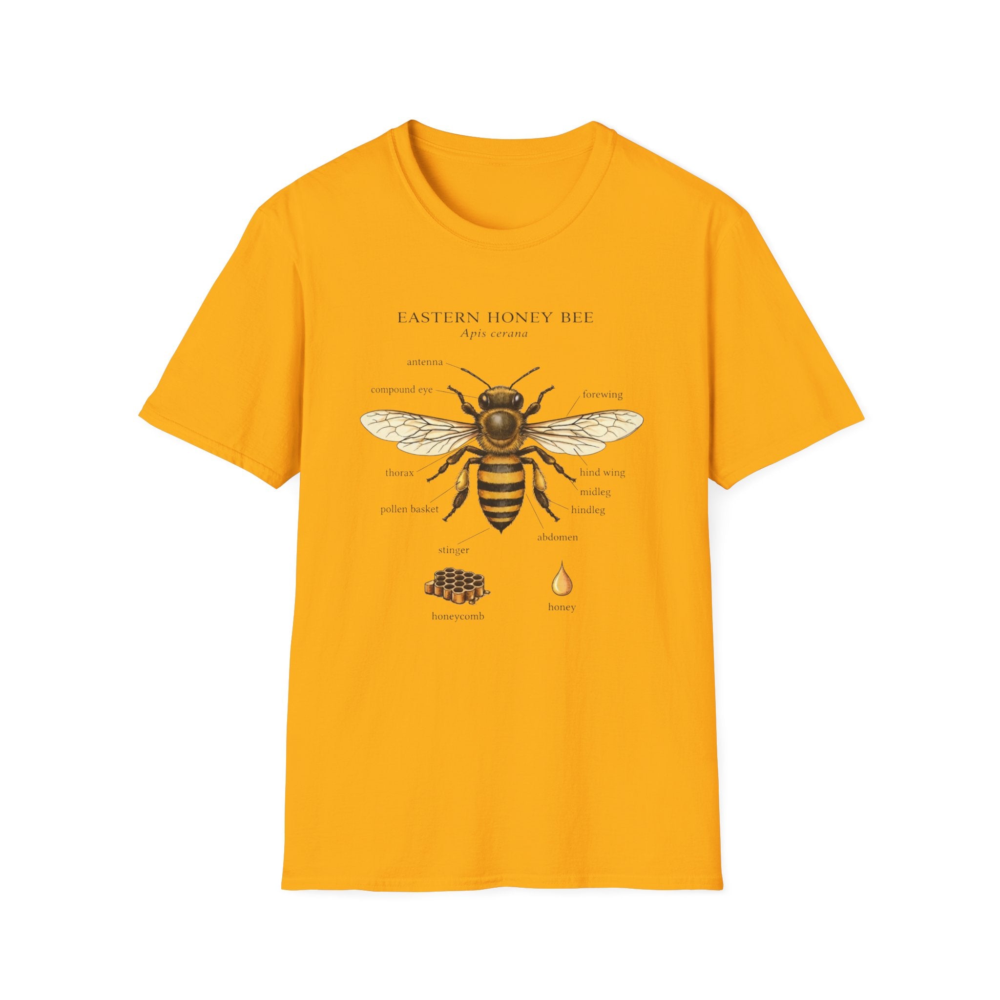 Eastern Honey Bee T-Shirt