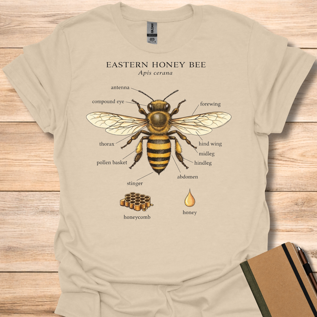 Eastern Honey Bee T-Shirt