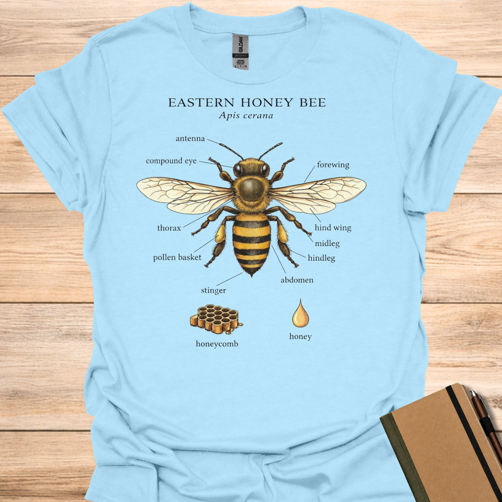 Eastern Honey Bee T-Shirt