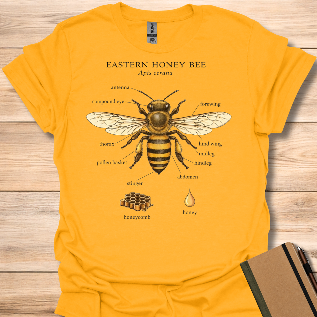 Eastern Honey Bee T-Shirt