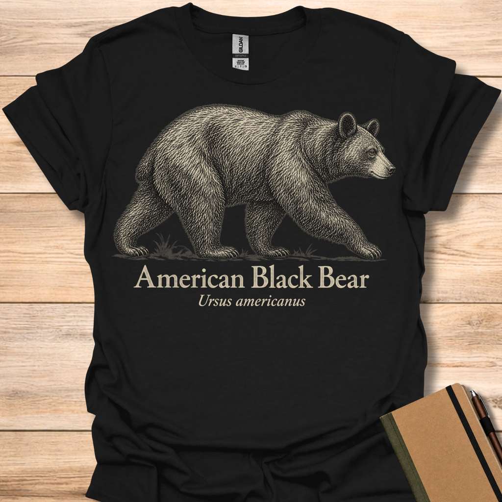 American Black Bear - Black