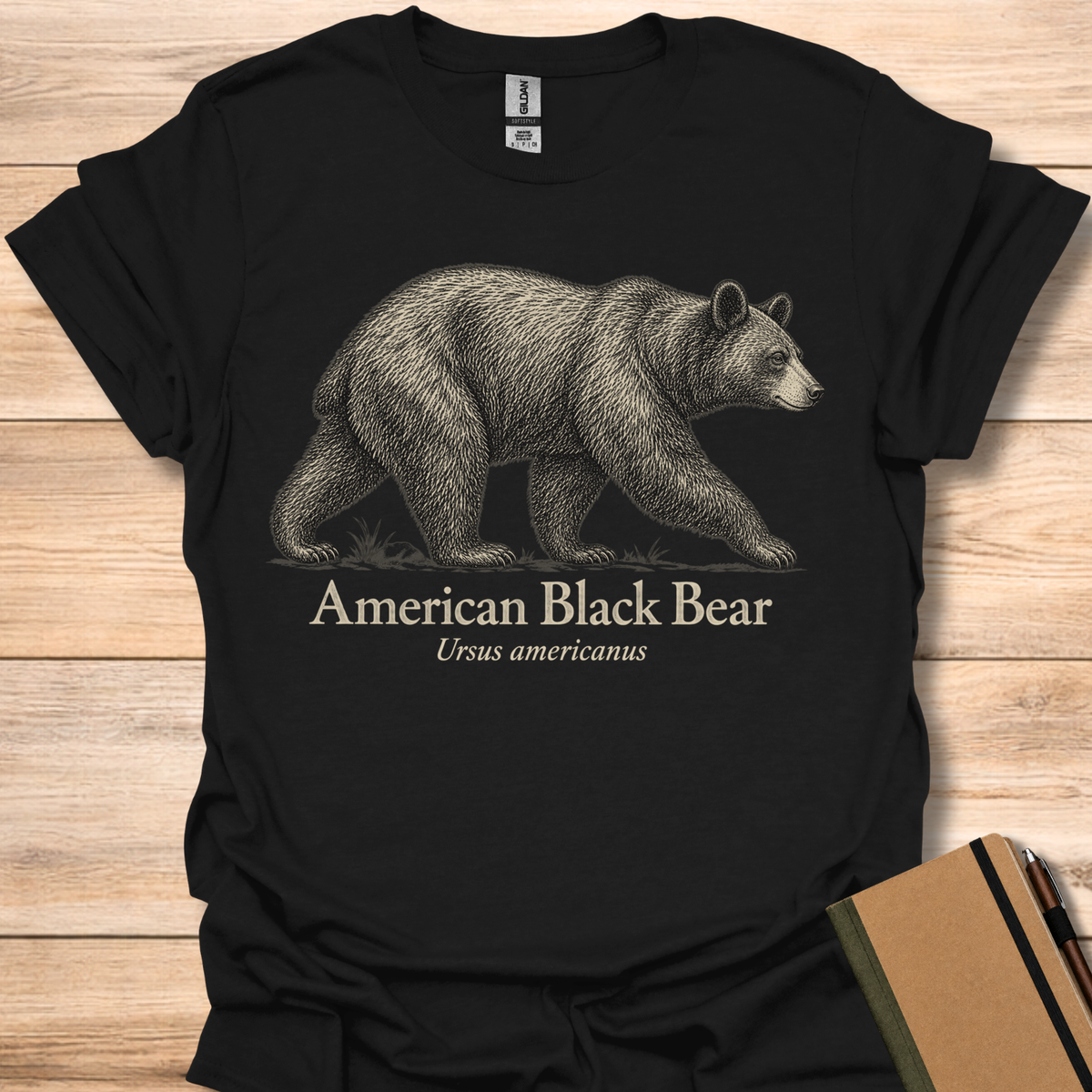 American Black Bear - Black