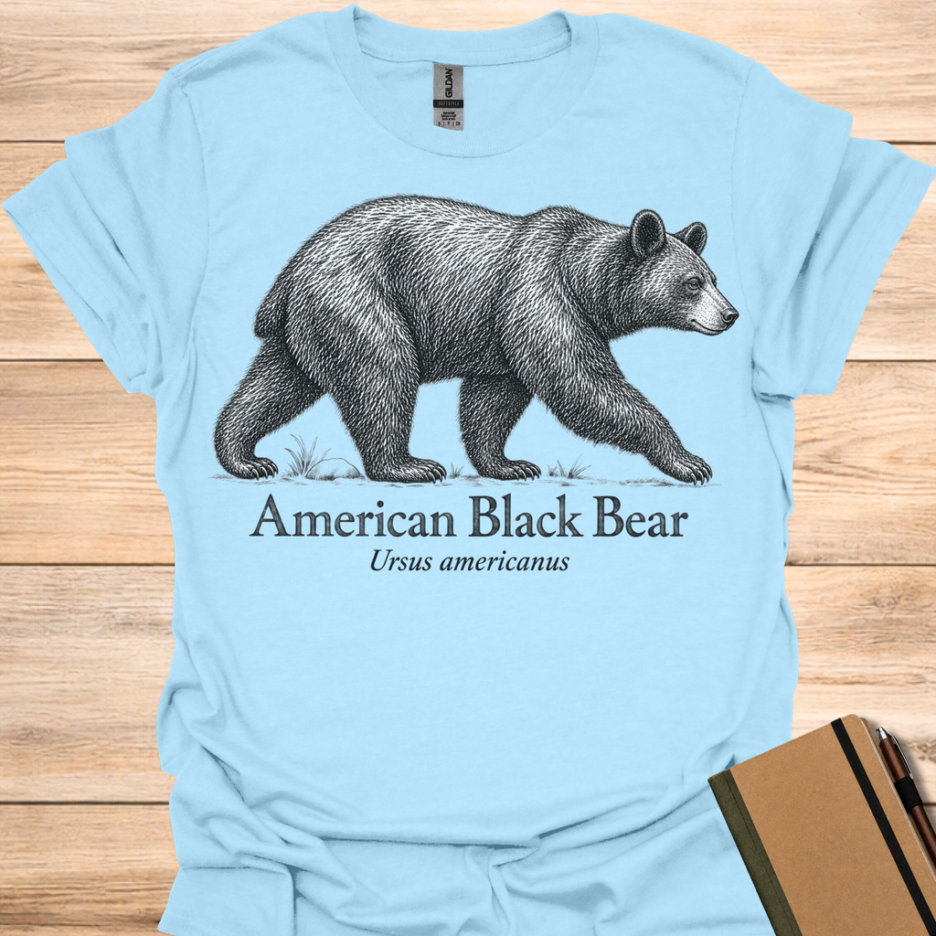 American Black Bear - Light Blue