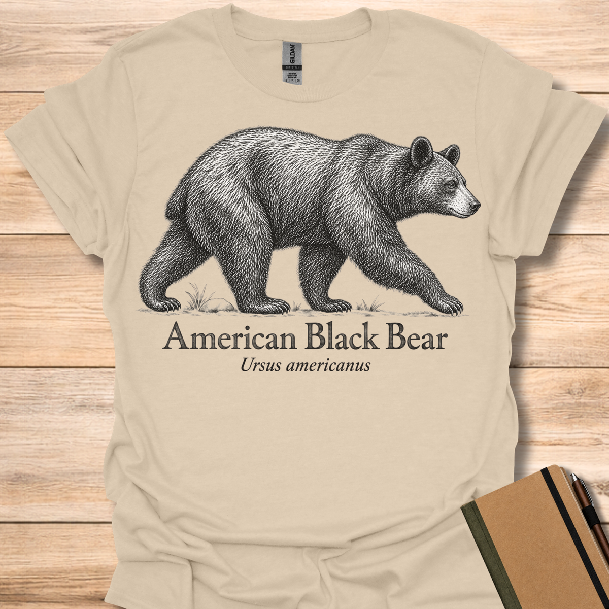 American Black Bear - Sand
