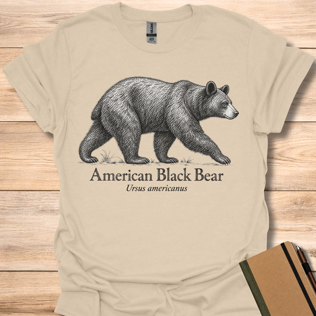 American Black Bear - Sand