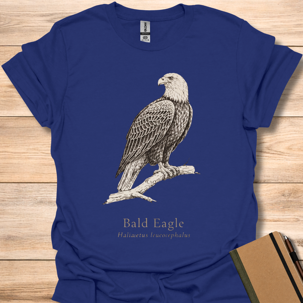 Bald Eagle - Navy
