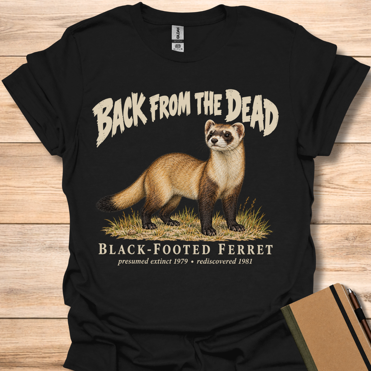 Black-Footed Ferret Back From The Dead - Black