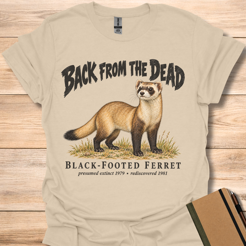 Black-Footed Ferret Back From The Dead - Sand