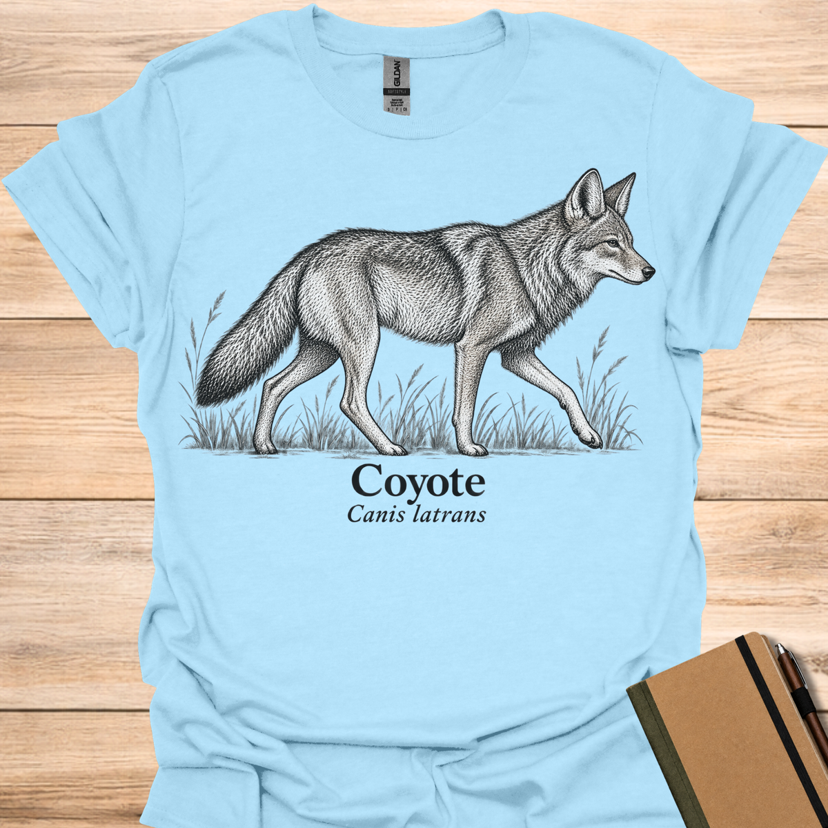 Coyote - Light Blue