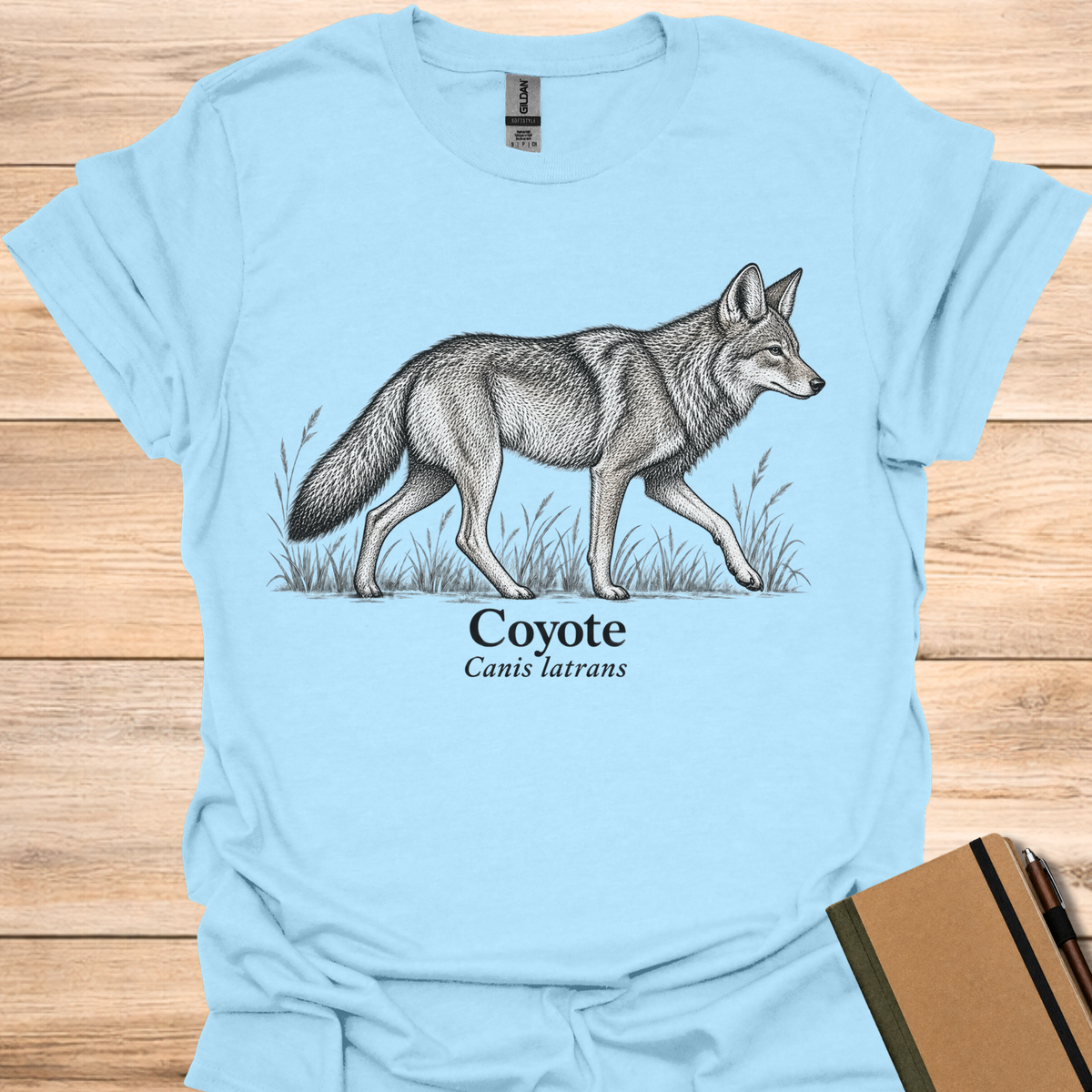 Coyote - Light Blue