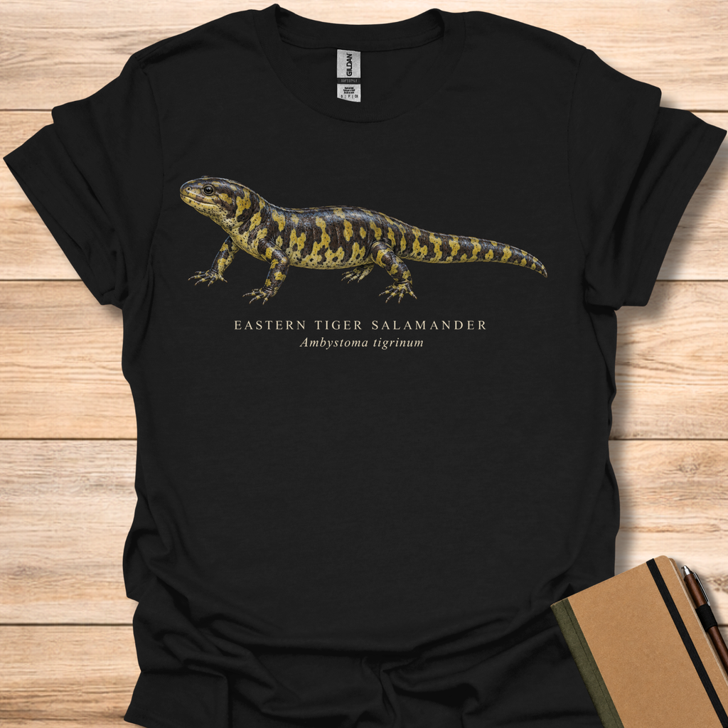 Eastern Tiger Salamander Field Guide - Black