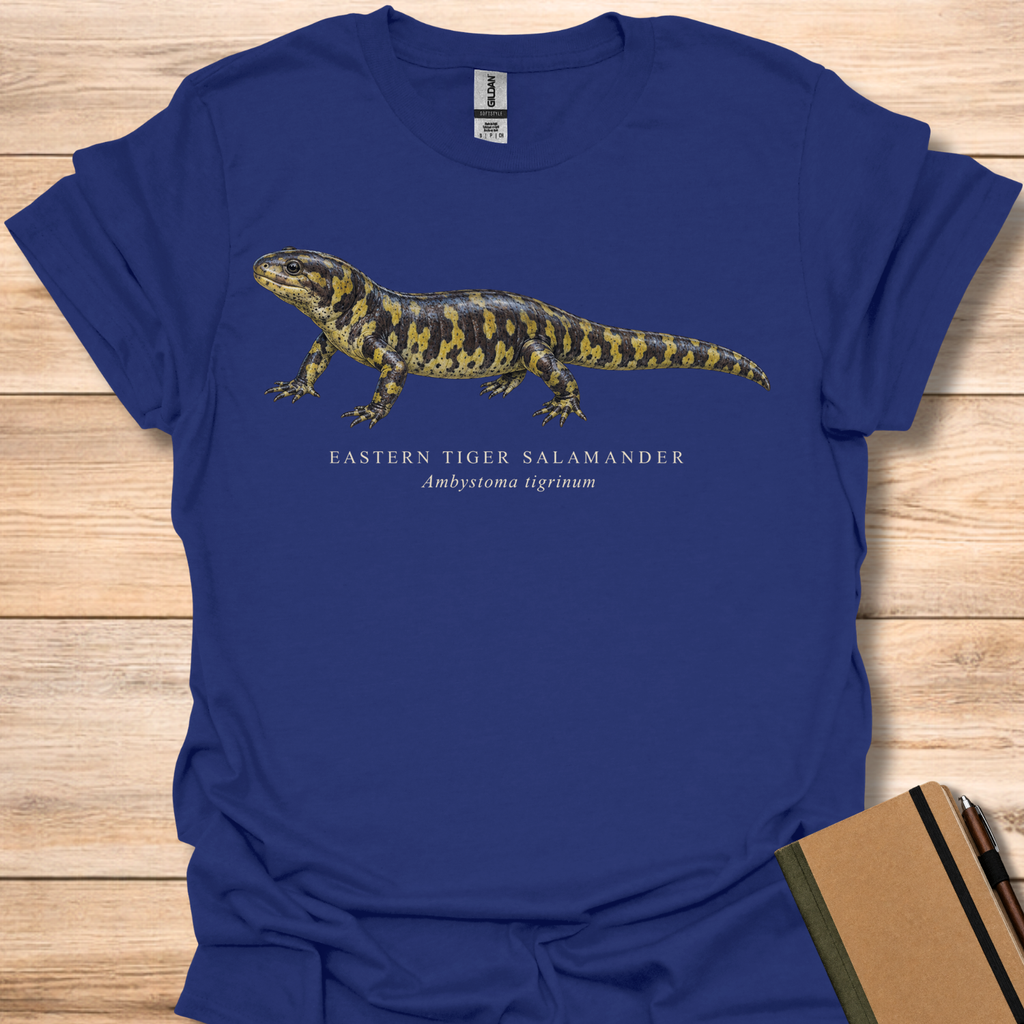 Eastern Tiger Salamander Field Guide - Navy