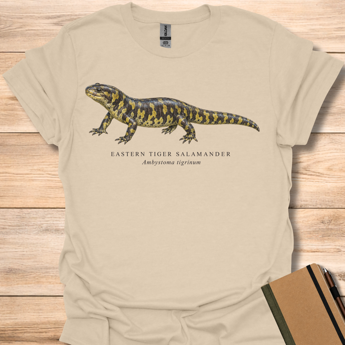 Eastern Tiger Salamander Field Guide - Sand
