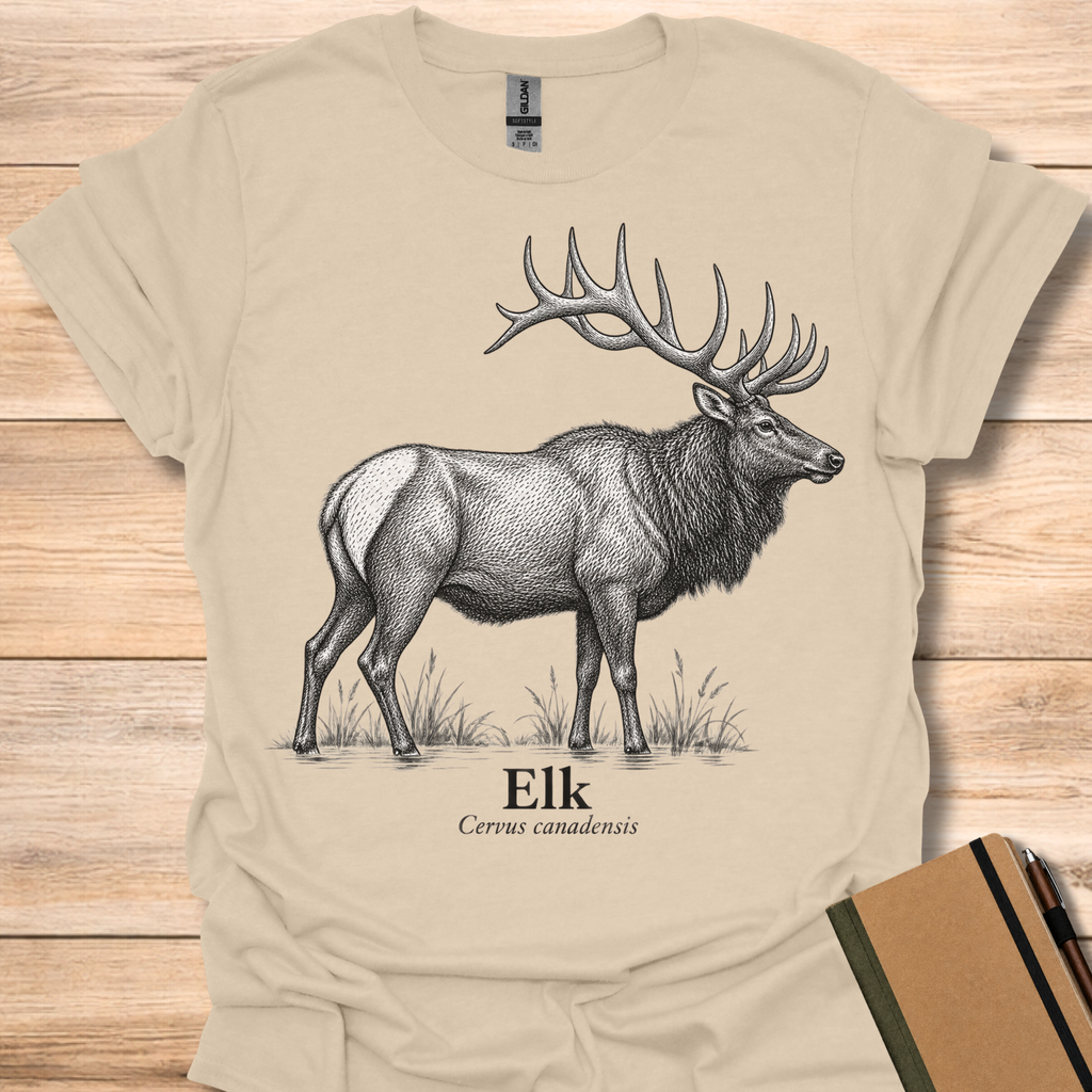 Elk - Sand