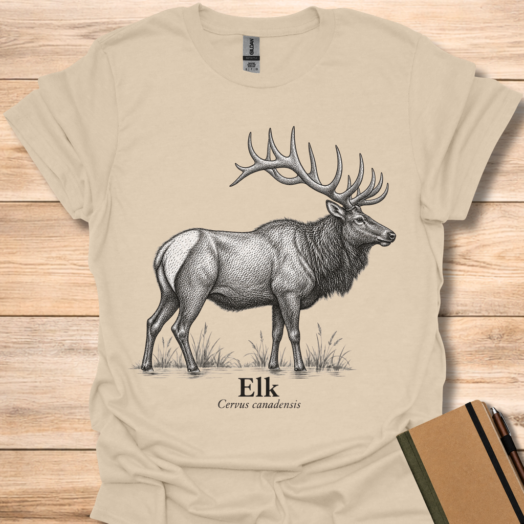 Elk - Sand