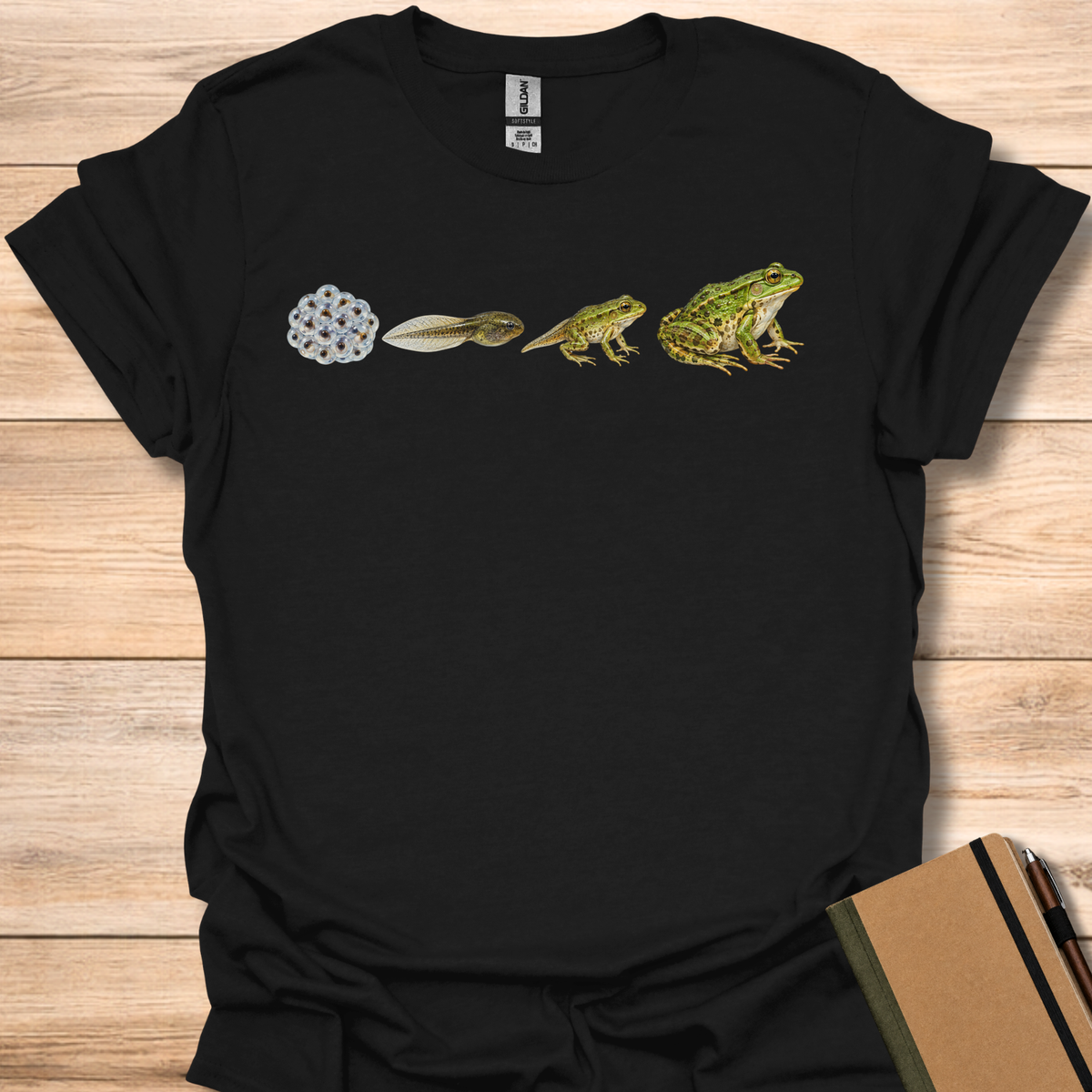 Frog Life Cycle - Black