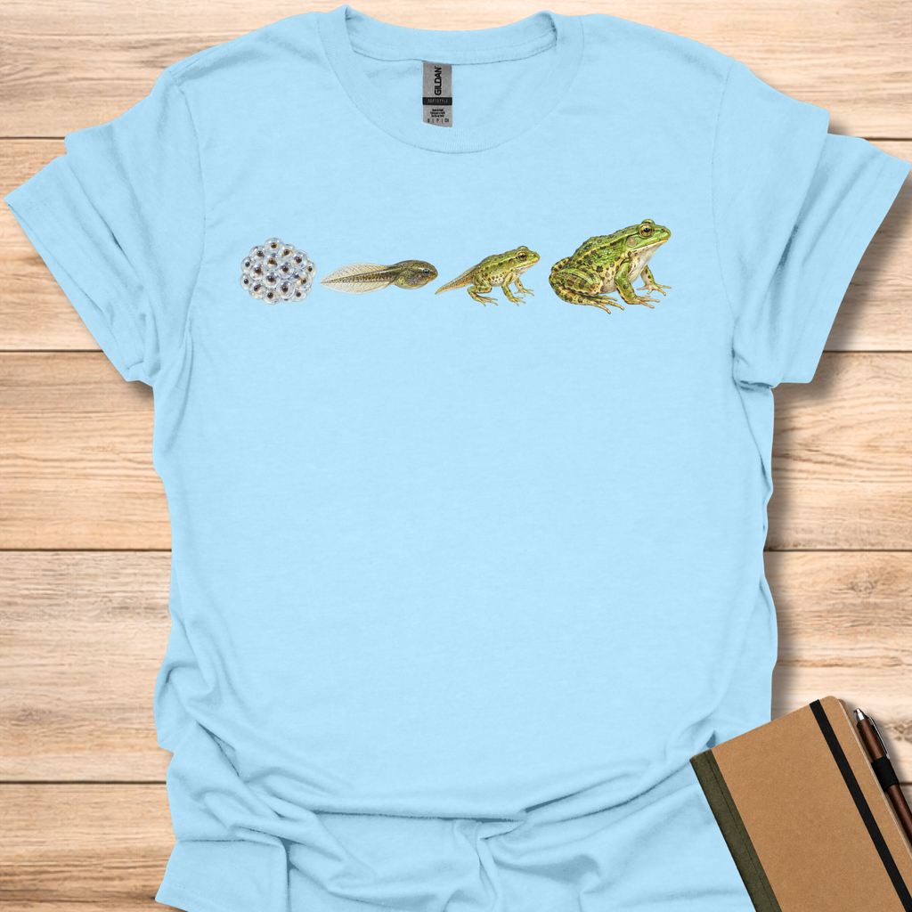 Frog Life Cycle - Light Blue