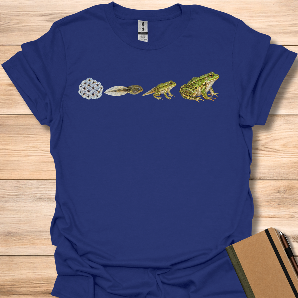 Frog Life Cycle - Navy