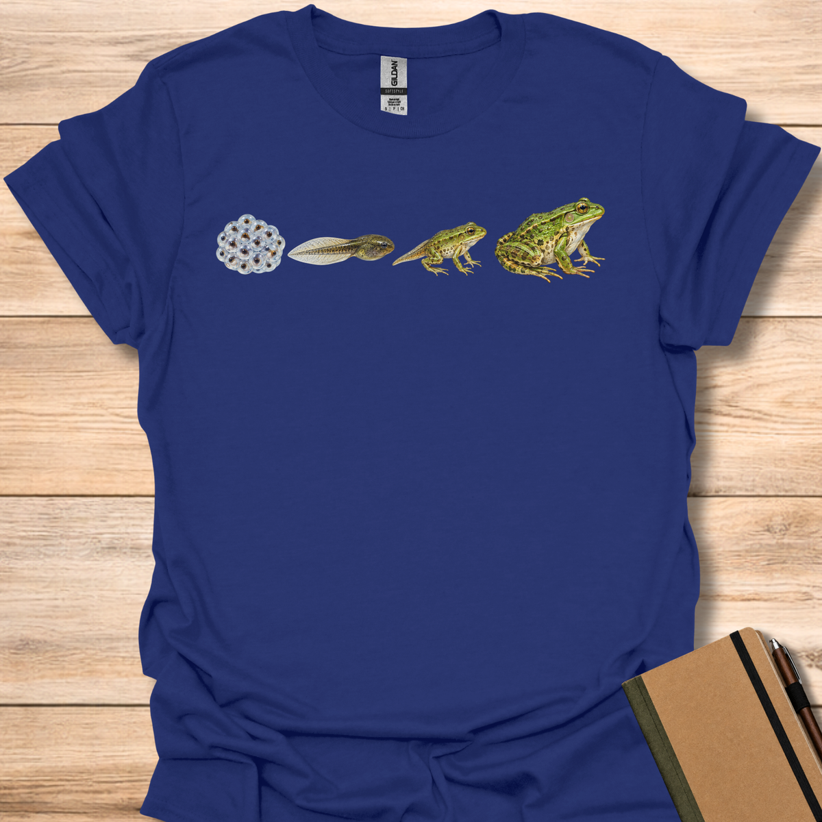 Frog Life Cycle - Navy