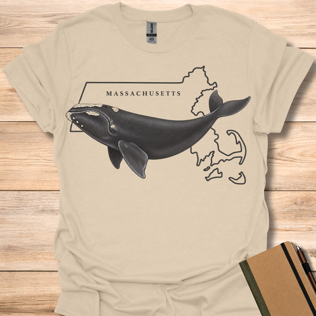 Massachusetts Right Whale - Sand