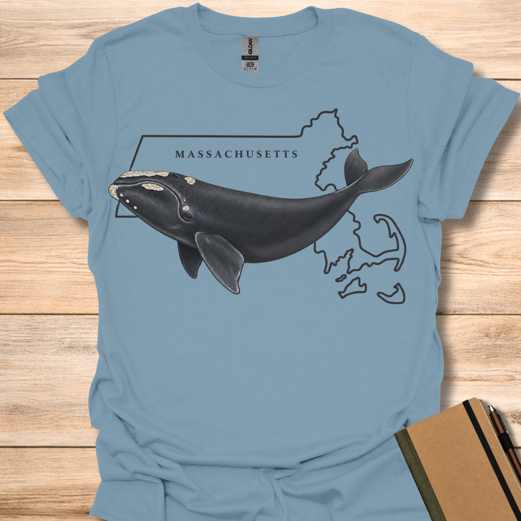 Massachusetts Right Whale - Stone Blue