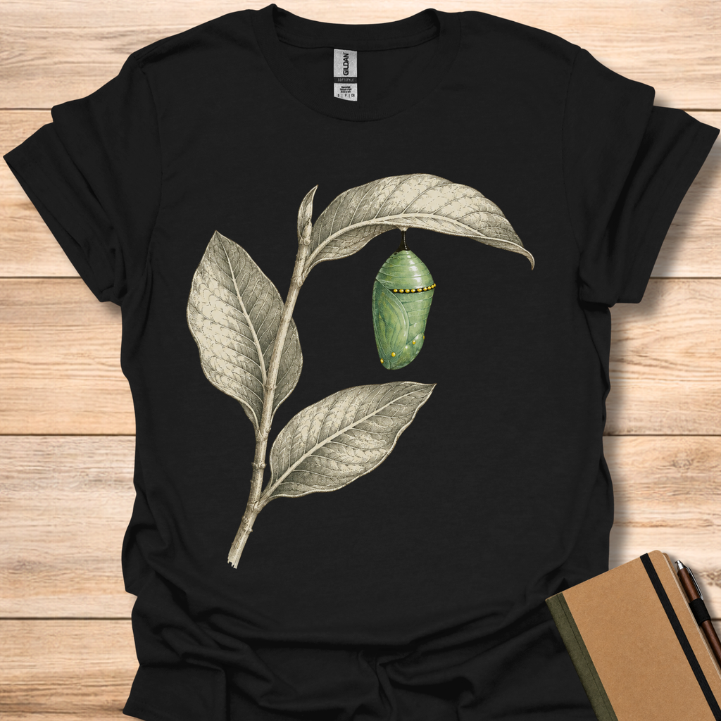 Monarch Chrysalis On Milkweed - Black