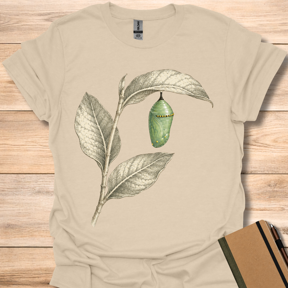 Monarch Chrysalis On Milkweed - Sand