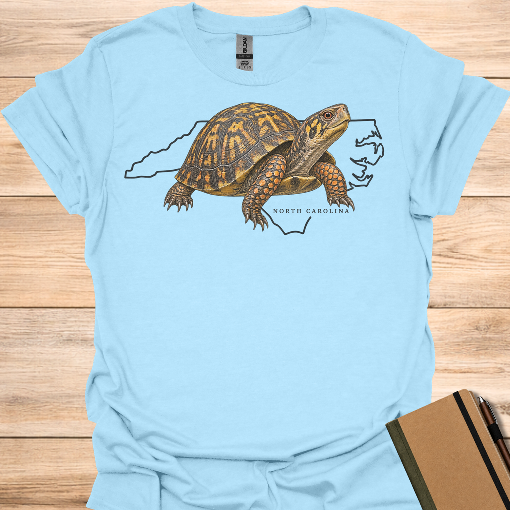 North Carolina Eastern Box Turtle - Light Blue