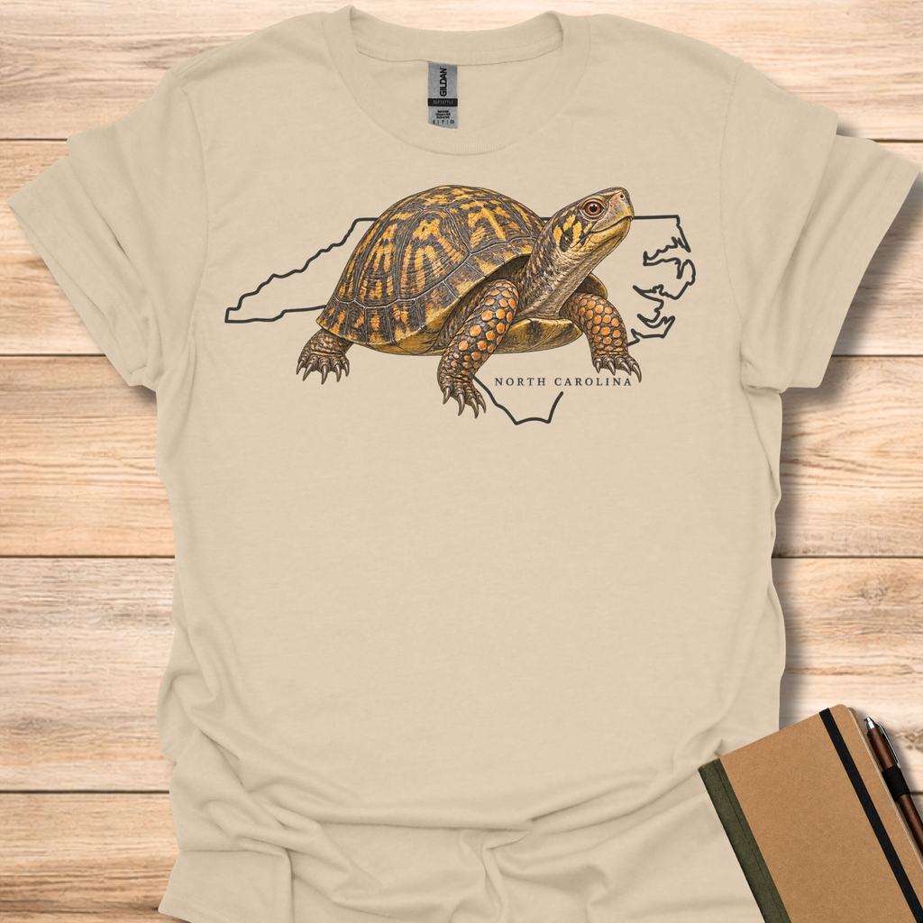 North Carolina Eastern Box Turtle - Sand