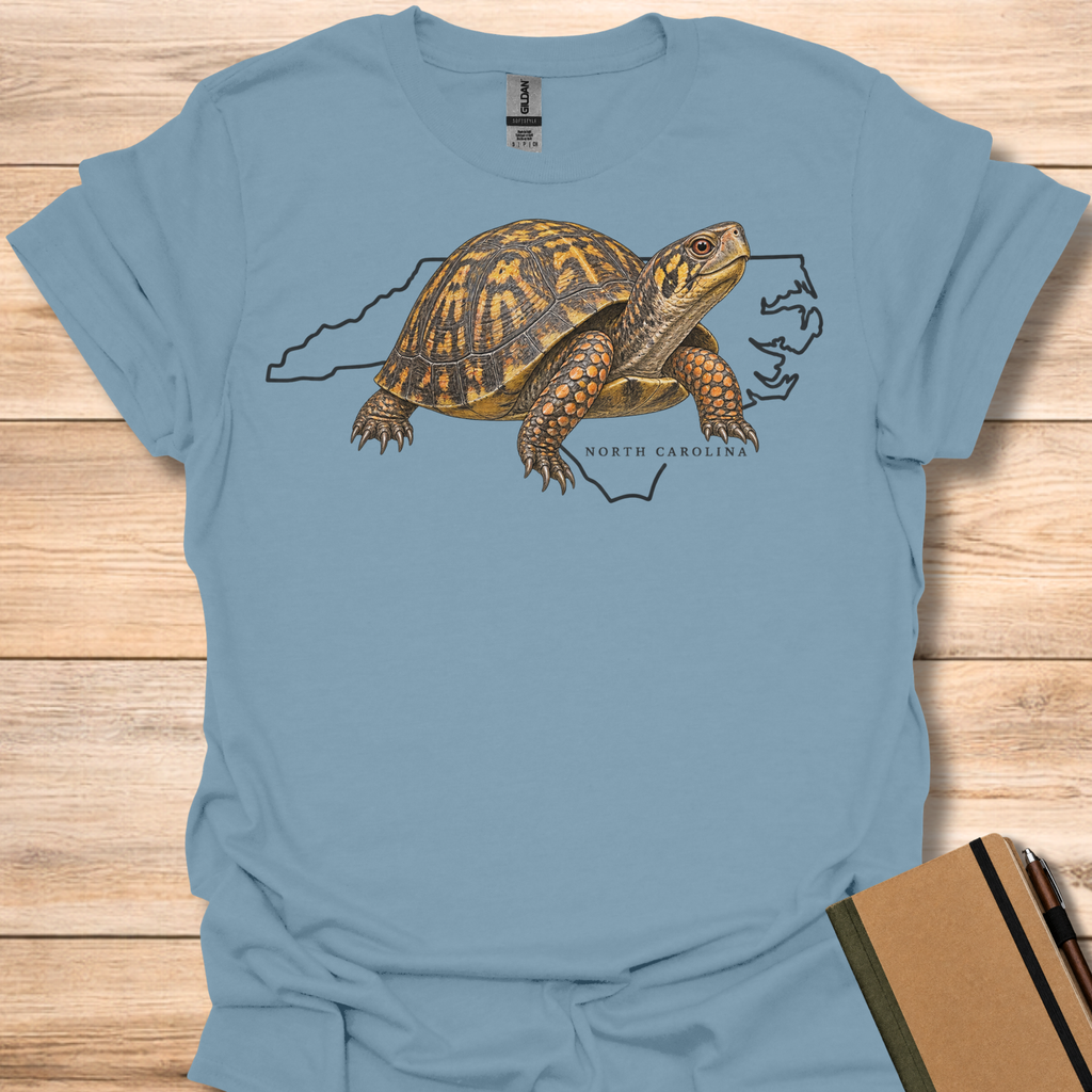 North Carolina Eastern Box Turtle - Stone Blue