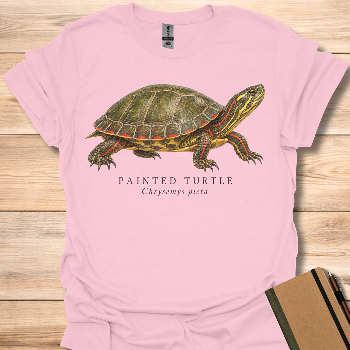 Painted Turtle Field Guide - Light Pink
