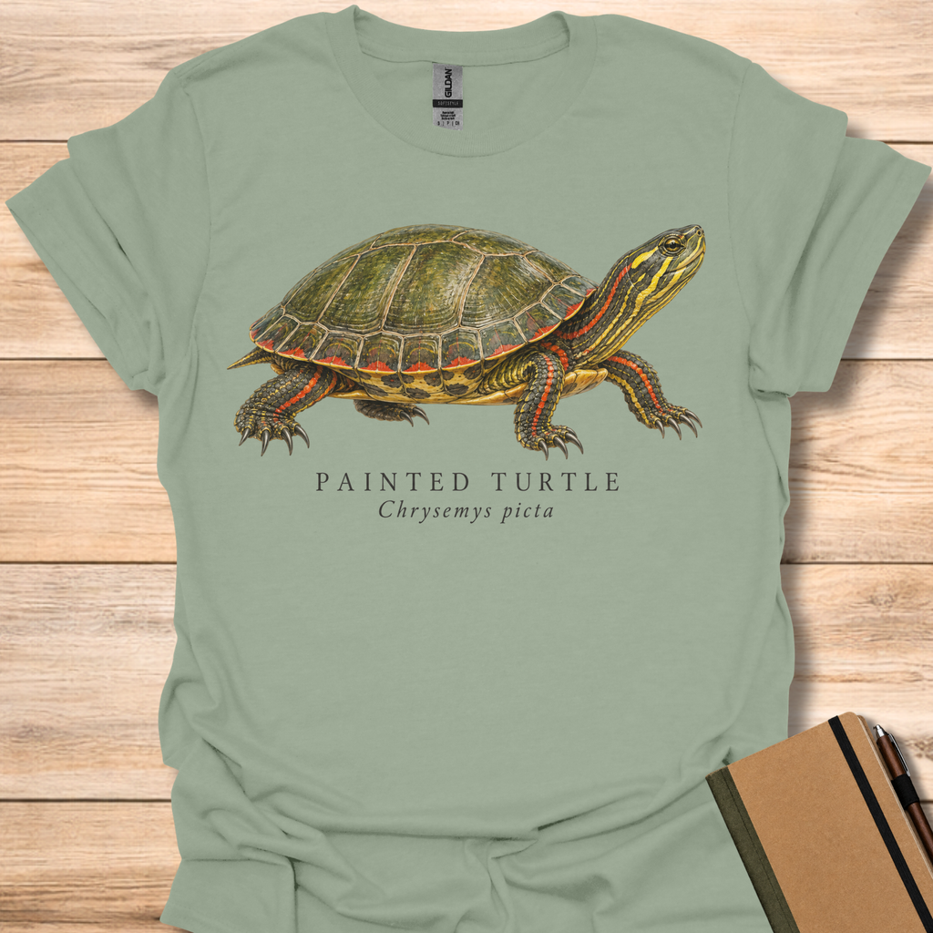 Painted Turtle Field Guide - Sage