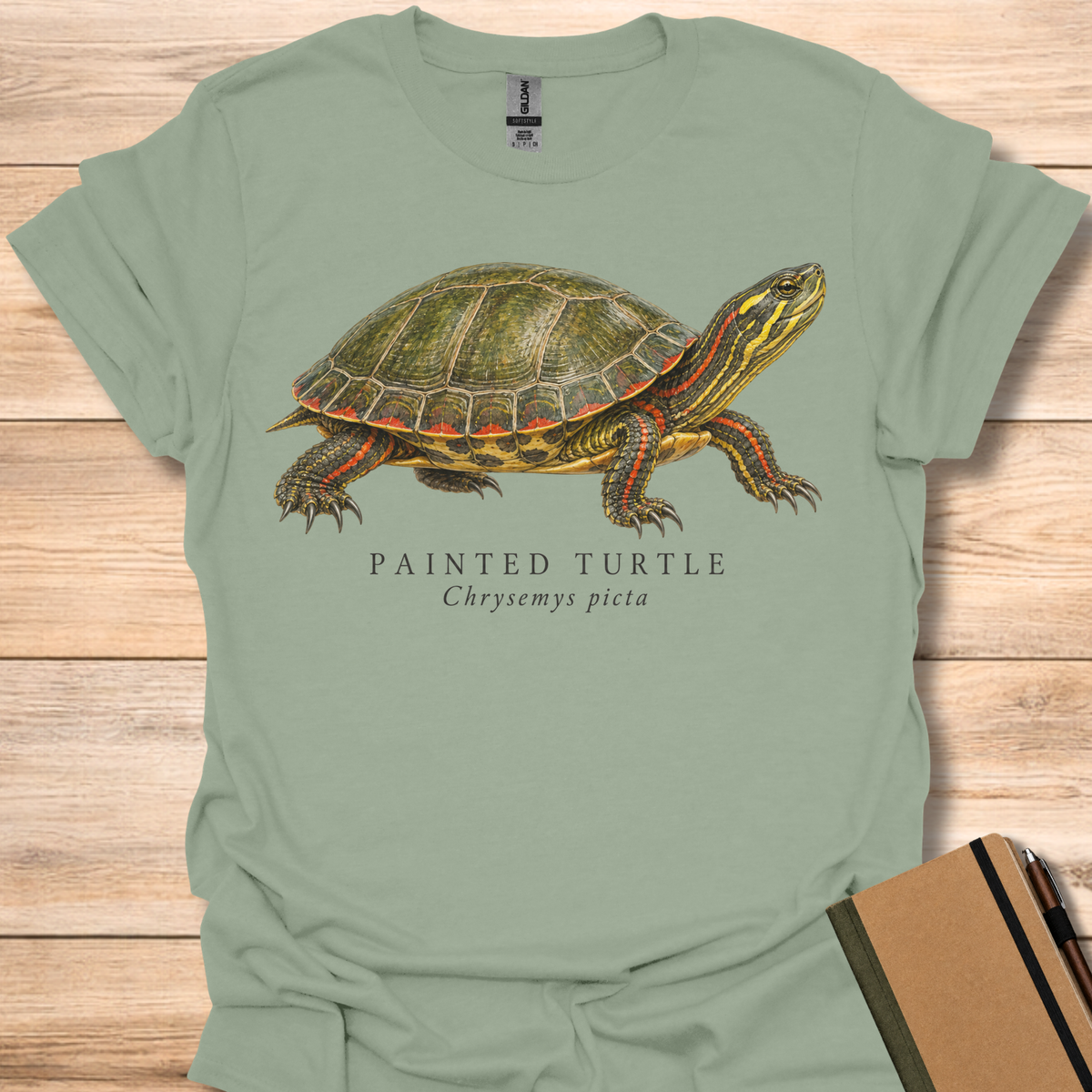 Painted Turtle Field Guide - Sage