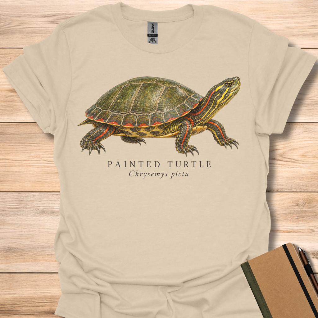 Painted Turtle Field Guide - Sand