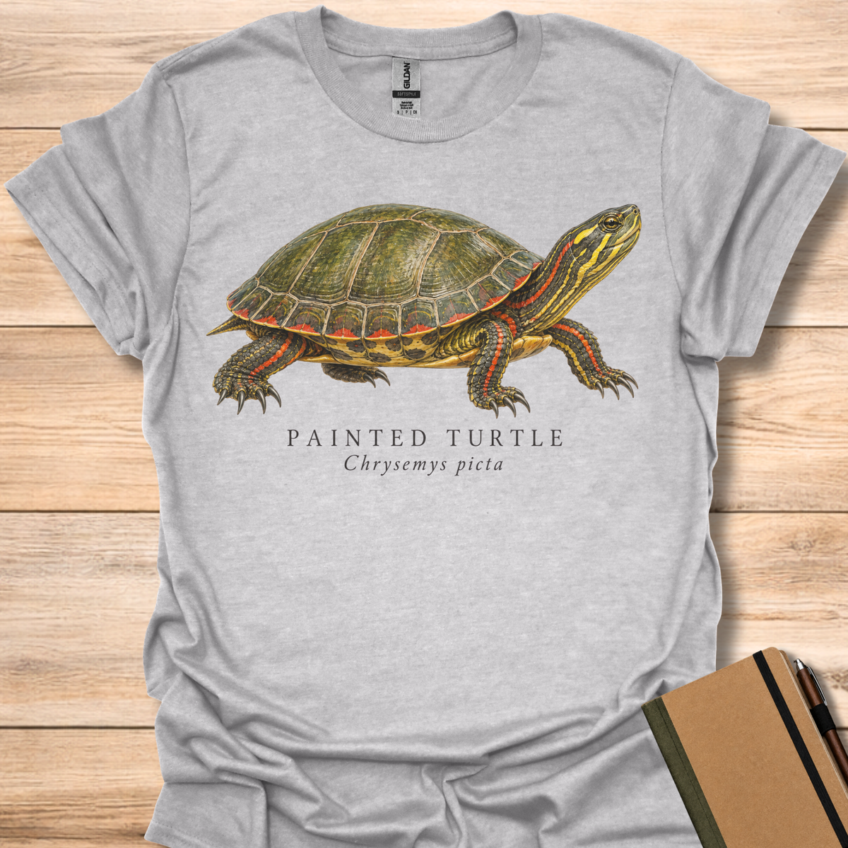 Painted Turtle Field Guide - Sport Grey