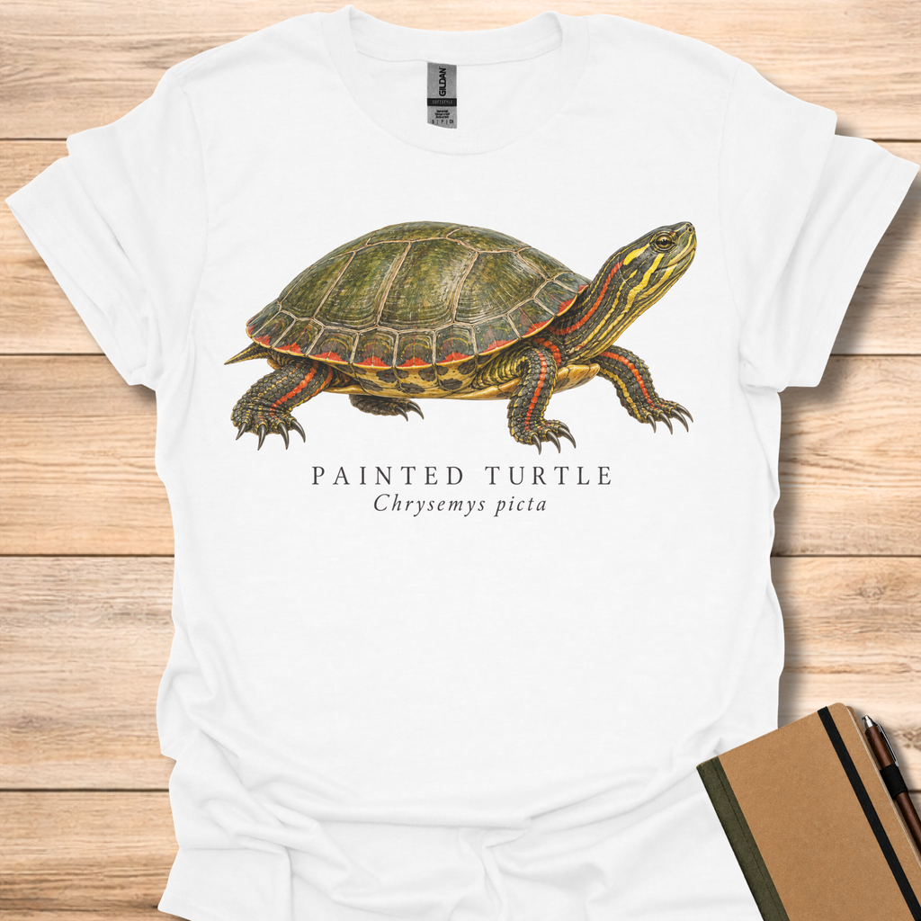 Painted Turtle Field Guide - White