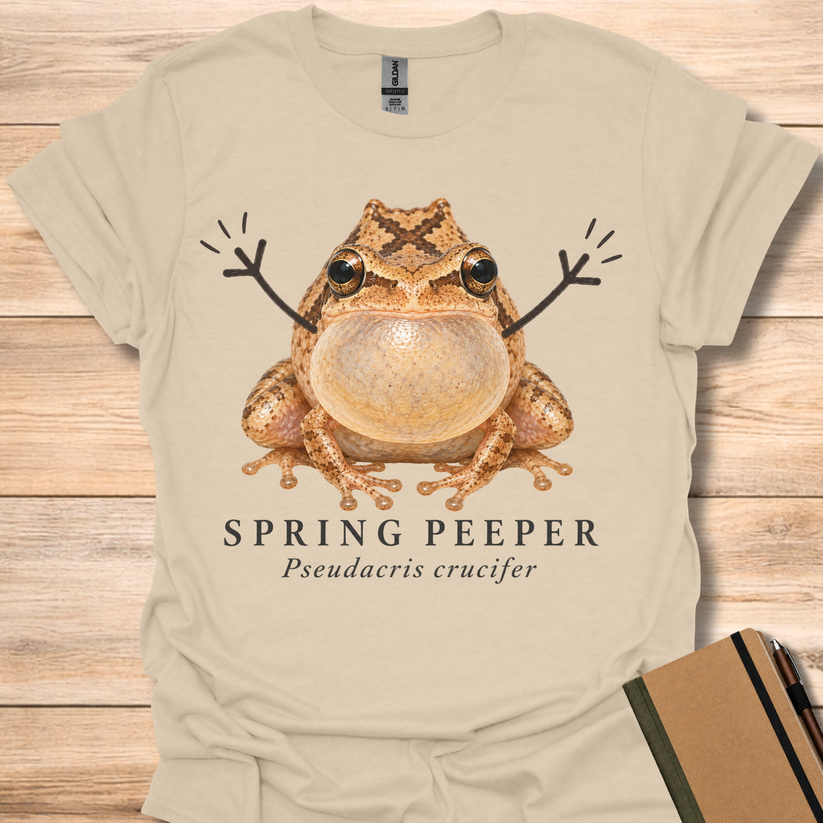 Spring Peeper Field Guide - Sand